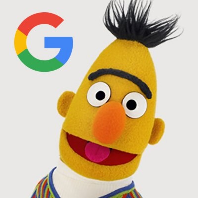 Seo Google Bert Update 400 400x400